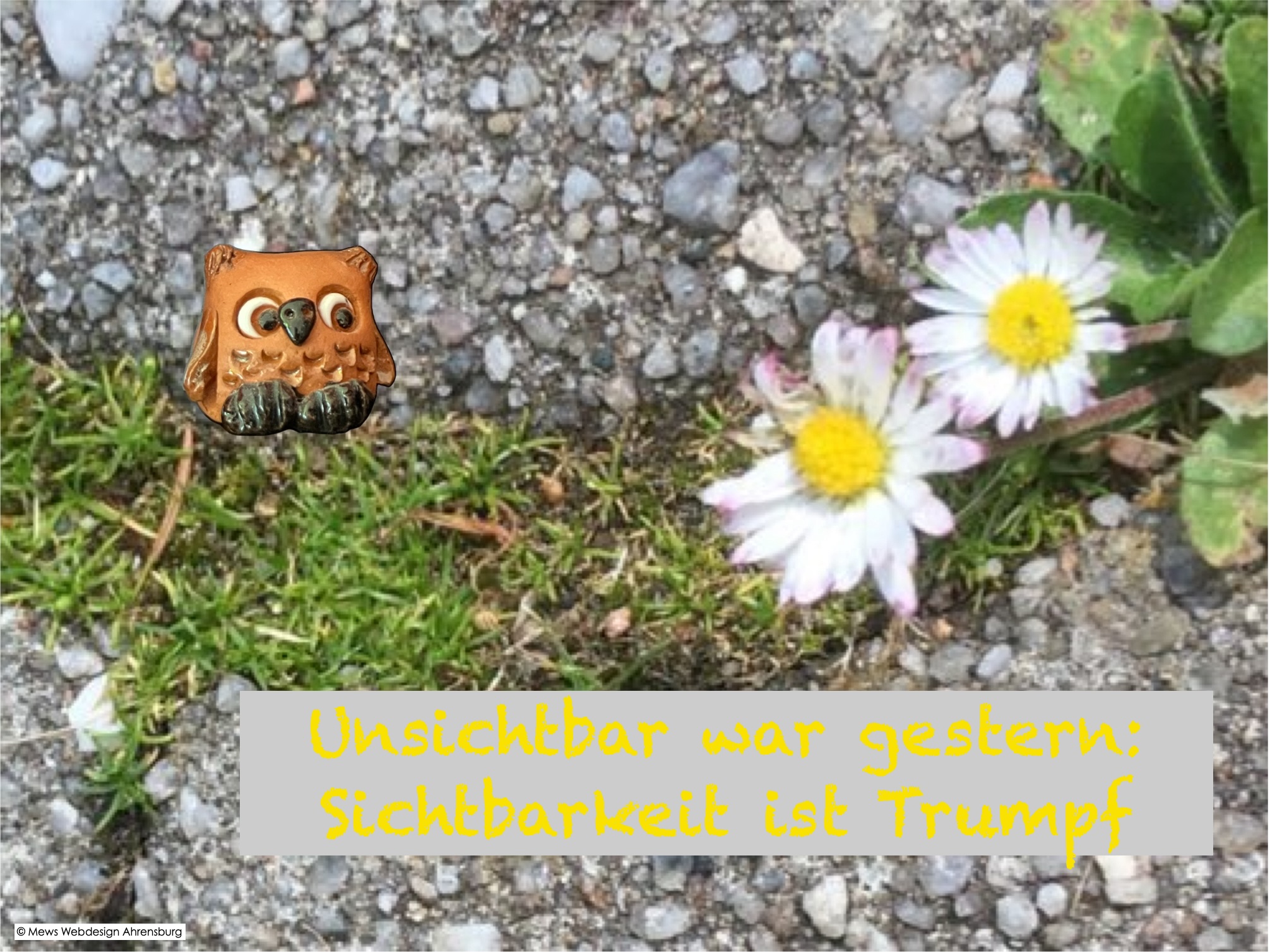 Webseite als Mauerblümchen?, Grafik: Eulen bestaunt Gänseblümchen, das sich durch Teer kämpft, Text: Unsichtbar war gestern. Sichtbarkeit ist Trumpf