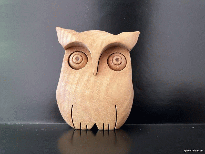 Darf ich mich vorstellen? Eule dreht sich um und zeigt sich.
