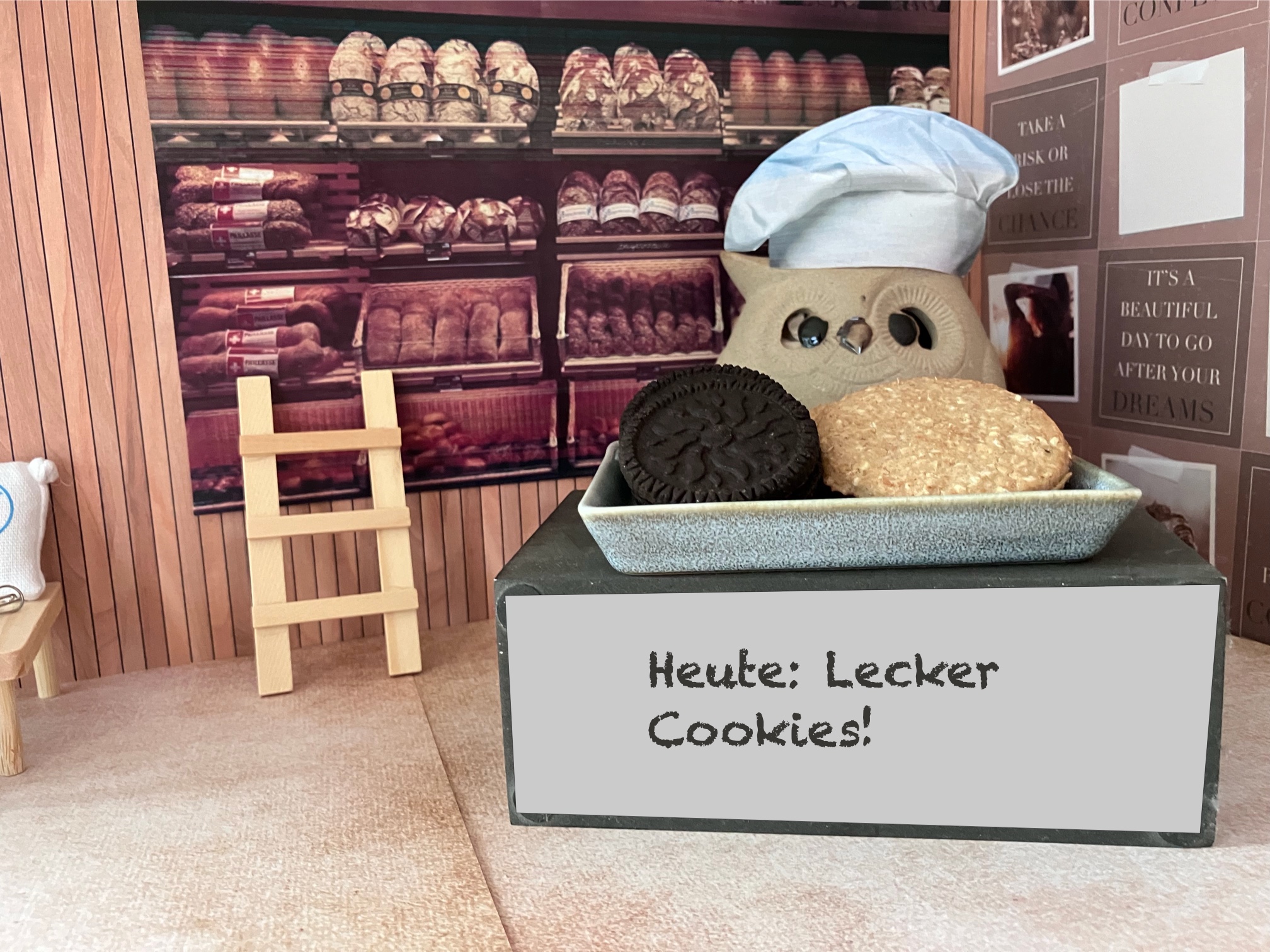 Bäckerin Eule in ihrer Bäckerei bietet Kekse an. Text: Heute: Lecker Cookies!